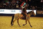 Quadrille - 00296
